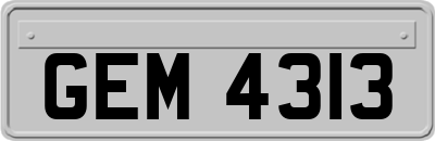 GEM4313