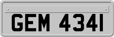 GEM4341