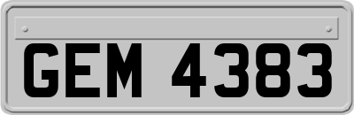 GEM4383