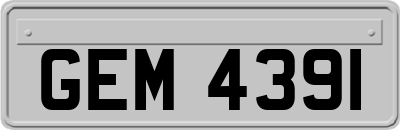 GEM4391