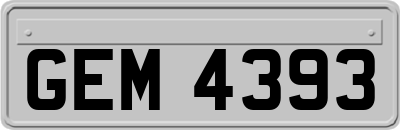 GEM4393