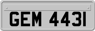 GEM4431