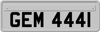 GEM4441