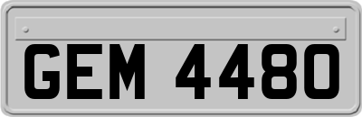 GEM4480