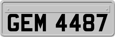 GEM4487