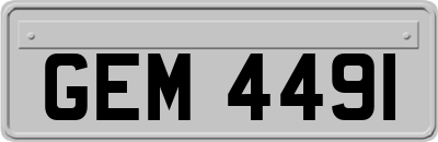GEM4491