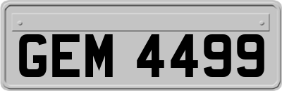GEM4499