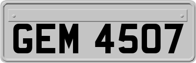 GEM4507