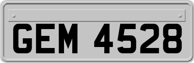 GEM4528