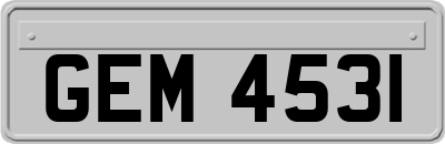 GEM4531
