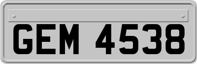 GEM4538