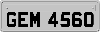 GEM4560
