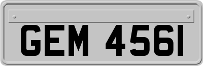 GEM4561