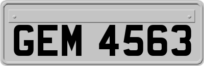 GEM4563