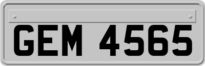 GEM4565