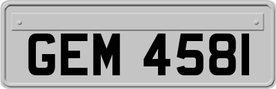 GEM4581