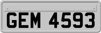 GEM4593