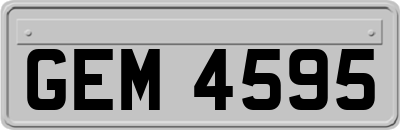 GEM4595
