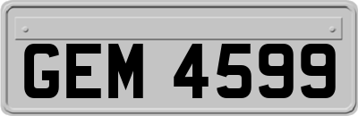 GEM4599