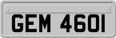 GEM4601