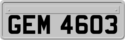 GEM4603