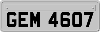 GEM4607
