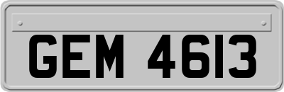 GEM4613
