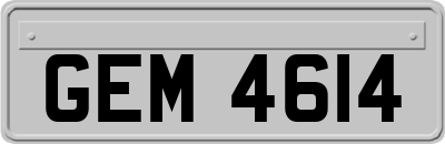 GEM4614