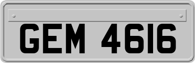 GEM4616