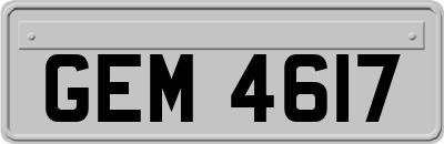 GEM4617