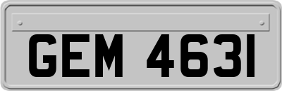 GEM4631