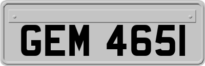 GEM4651