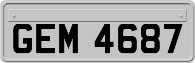 GEM4687