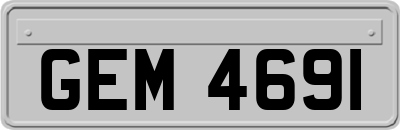 GEM4691