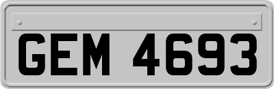 GEM4693