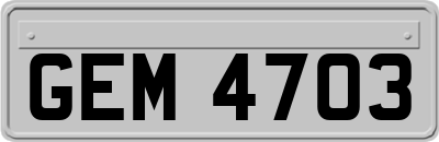 GEM4703