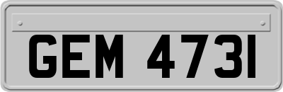 GEM4731