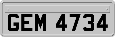 GEM4734