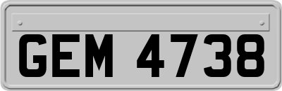 GEM4738