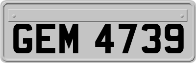GEM4739