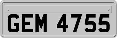 GEM4755