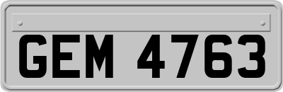 GEM4763
