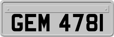 GEM4781