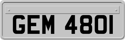 GEM4801