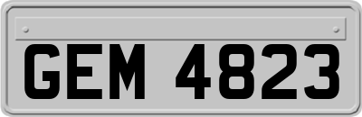 GEM4823