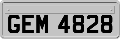 GEM4828