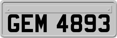 GEM4893