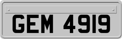 GEM4919