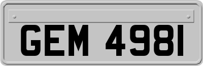 GEM4981