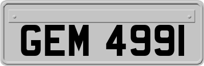 GEM4991